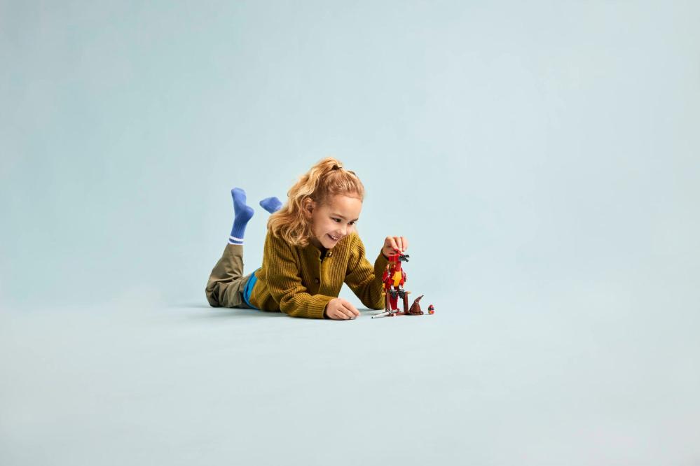 LEGO® Harry Potter™ Felix: de Feniks van Perkamentus - 76448