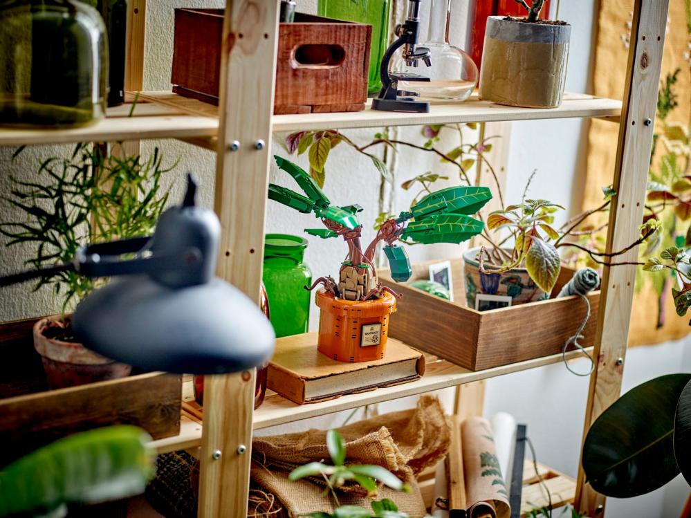 LEGO Harry Potter™ Mandragora speelgoedplant - 76433